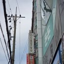 대기구 필라테스 (토) | [부산/동래구] 대기구필라테스 청담 사직점 1:1 개인 PT 후기