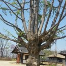 생금우물 이미지