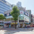 미유펫 강아지분양 고양이분양 부천점 이미지