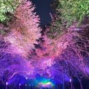 이스트타워 원 이미지