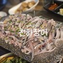 더한잔 | 해운대 야장 분위기, 전어회로 한잔 더마신 천하장어 후기