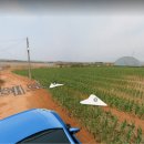 내화농장 이미지