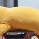 메가 세탁소 이미지