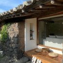 스테이 고집 이미지