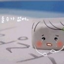 여우나드리