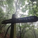 해병호횟집