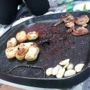 대창민박 Daum카페