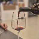 루나피에나 이미지