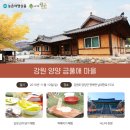 금풀애마을