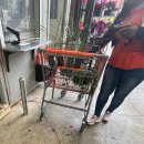 미국에서 흙, 화분 구매하기(The Home Depot) &amp; 짐스 오리지널 핫도그 후기
