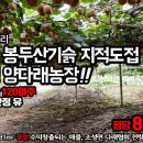 다래 공인중개사사무소 이미지