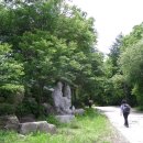 내촌삼거리 버스정류장(40574) | 한북정맥 5구간 (47번국도-수원산-국사봉-큰넉고개)