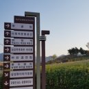 삼성현역사문화공원 티스토리