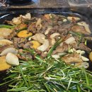 배부른생오리 이미지