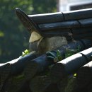 다덕약수탕 이미지