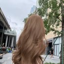 컬러별