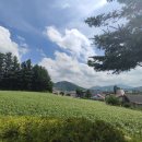 대관령트레이닝센터 이미지