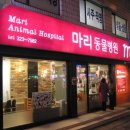 마리동물병원 이미지