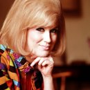 삐노(PINO) 이미지