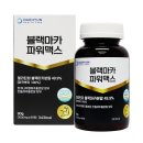 대현식품