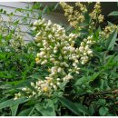 대구청과시장 이미지