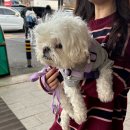 송어축제 | [평창] 1박 2일 가족여행 ①🐾 _ 평창 송어축제 후기