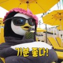 움짤 구해여🥺 이미지