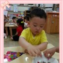 무지개 물고기 이미지