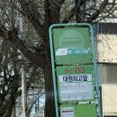 대일투어로