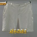 얼룩빼기이박사 이미지