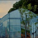 봉화호프 이미지