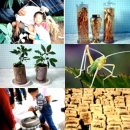 춘배농장 이미지