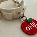 애플텍 이미지