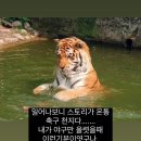 도무지 알 수 없는 기억들 속에