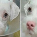 웃음주유소 이미지