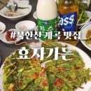 홍계곡민박 | 북한산 계곡 맛집 효자가든 능이닭백숙 계곡물놀이하기!