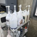 마이핫독 이미지