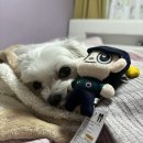 경찰승진 선물, 경찰 순금 상패 :: 예빛골드 🥇