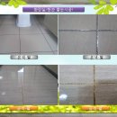 크린파트너 Daum카페