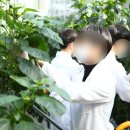 유성생명과학고등학교 네이버블로그