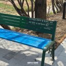 하천(충훈2교) | 안양 가볼만한곳 안양천 벚꽃 데이트 실시간