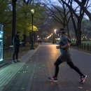 더프리미엄1:1운동센터 이미지