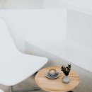 백꽃사랑하이빛 이미지