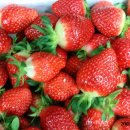 신흥3농장 이미지