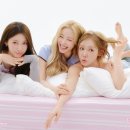 대체 왜 새 멤버 합류시키냐, 좀 그렇다, 이걸 재결합으로 봐도 되냐는 반응 많았던 시크릿 근황...jpg 이미지