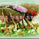 분 이미지