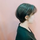 헤어다옴 이미지