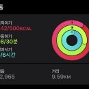 힘대로횟집 이미지