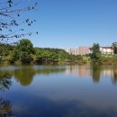 늘솔길공원1 이미지