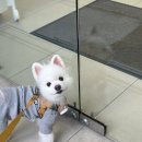 우장동물병원 이미지